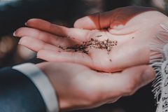 Styleshoot_Ecobride_Juni2020_082